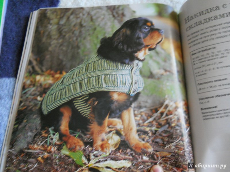 Иллюстрация 11 из 36 для Жакеты, попоны и накидки. Стильная одежда для собак - Анна Тильман | Лабиринт - книги. Источник: kosolapiki