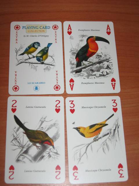 Иллюстрация 1 из 5 для Игральные карты "Птицы" | Лабиринт - книги. Источник: PantheraTigris