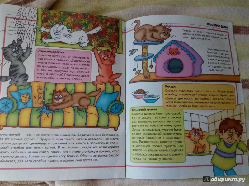 Иллюстрация 17 из 25 для Мама, хочу котенка! - Ольга Шапина | Лабиринт - книги. Источник: SeaVixen