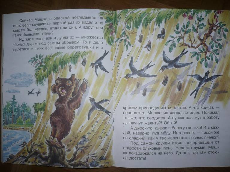 Иллюстрация 5 из 11 для Мишка - Башка - Виталий Бианки | Лабиринт - книги. Источник: Gurianova  Olga