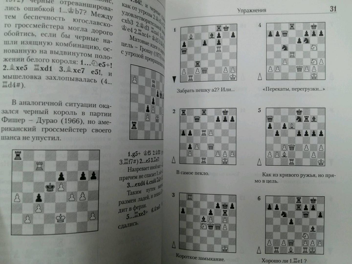 Иллюстрация 5 из 8 для Последний шах - Виктор Хенкин | Лабиринт - книги. Источник: L  Elena