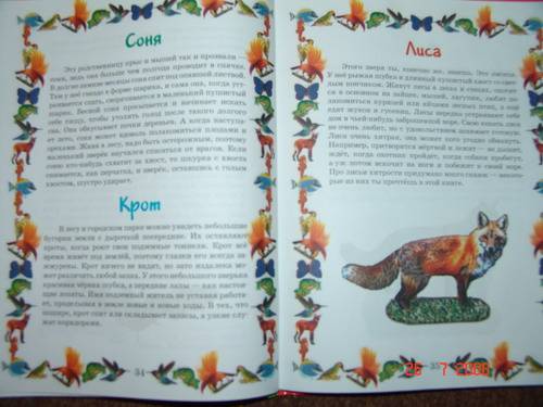 Иллюстрация 2 из 2 для Моя первая книга о животных - Т. Мореева | Лабиринт - книги. Источник: АленаТюрина