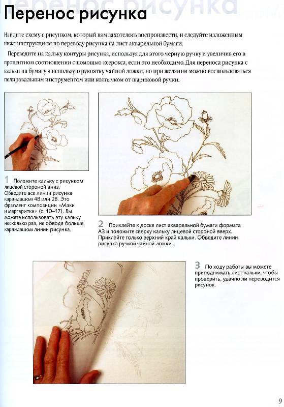 Иллюстрация 13 из 22 для Рисуем по схемам. Цветы. Акварель - Венди Тэйт | Лабиринт - книги. Источник: Росинка
