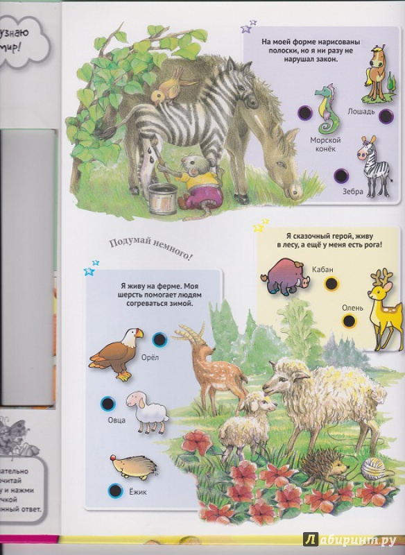 Иллюстрация 21 из 42 для Для малышей загадки о животных | Лабиринт - книги. Источник: Моисеева  Ирина