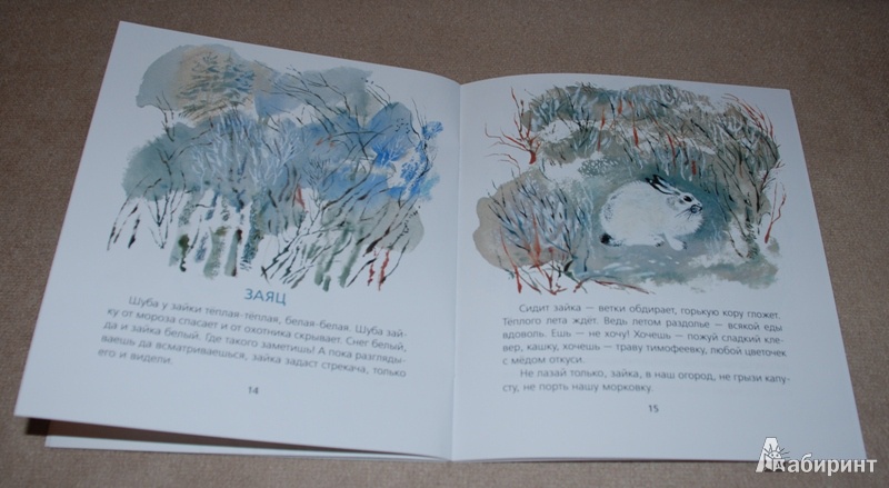 Иллюстрация 15 из 25 для В лесу - Евгений Чарушин | Лабиринт - книги. Источник: Книжный кот