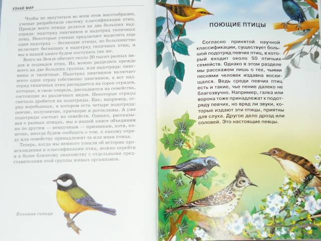 Иллюстрация 3 из 20 для Птицы - Александр Бугаев | Лабиринт - книги. Источник: Ромашка:-)