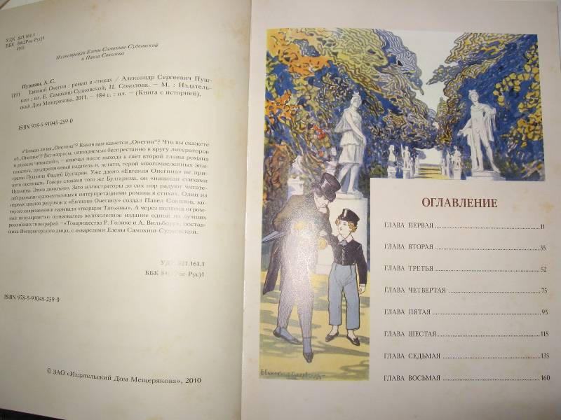 Иллюстрация 20 из 47 для Евгений Онегин - Александр Пушкин | Лабиринт - книги. Источник: W