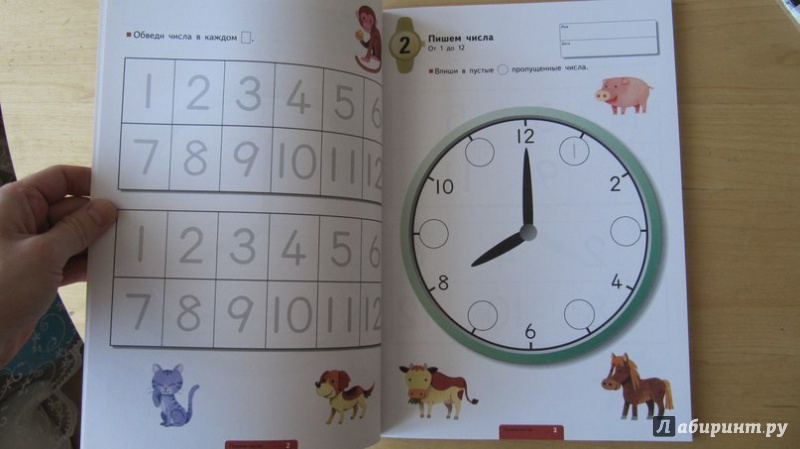 Иллюстрация 46 из 90 для Учимся определять время. Час и полчаса | Лабиринт - книги. Источник: Данилова  Мария Александровна