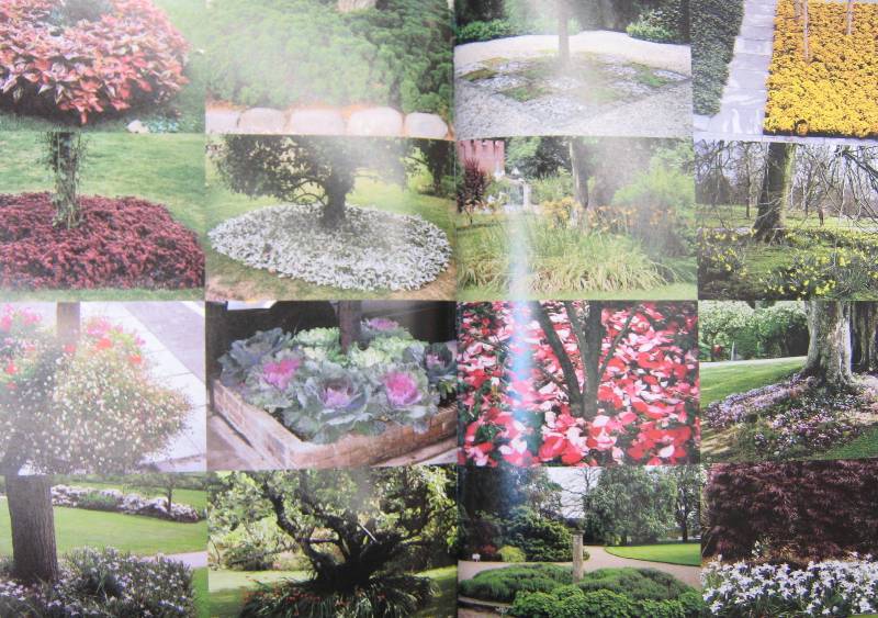 Иллюстрация 7 из 10 для 1000 идей для сада - Стэффорд Клифф | Лабиринт - книги. Источник: Спанч Боб