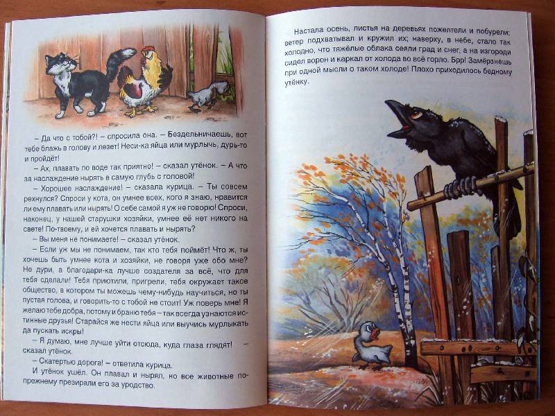 Иллюстрация 27 из 32 для Гадкий утенок - Ханс Андерсен | Лабиринт - книги. Источник: Red cat ;)
