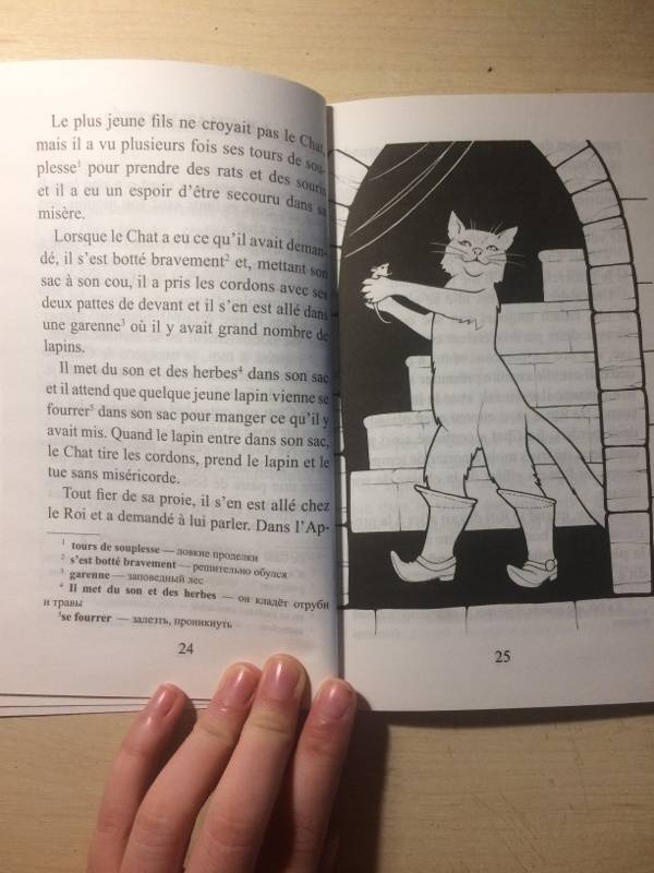Иллюстрация 38 из 44 для Французские сказки | Лабиринт - книги. Источник: Татаринова Дарья