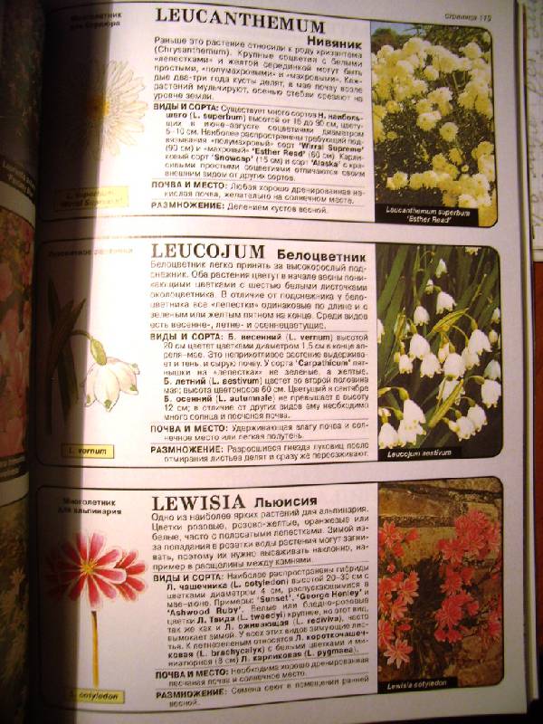 Иллюстрация 11 из 22 для Все о цветах в вашем саду - Дэвид Хессайон | Лабиринт - книги. Источник: Алёнка