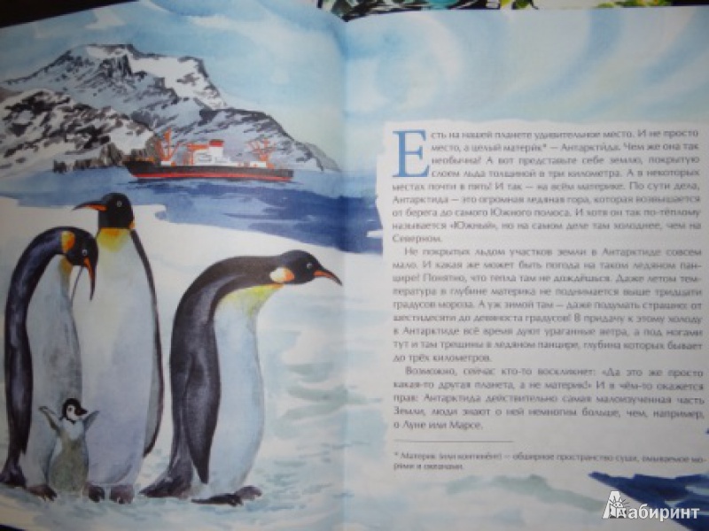 Иллюстрация 18 из 46 для Антарктида - Федор Конюхов | Лабиринт - книги. Источник: Alitalia