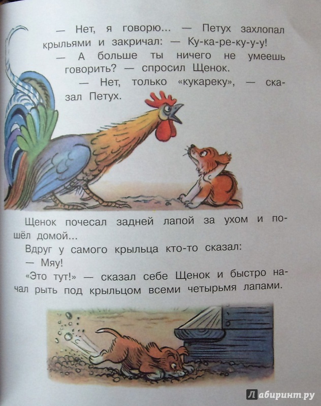 Иллюстрация 21 из 29 для Загадочные истории - Владимир Сутеев | Лабиринт - книги. Источник: Соловьев  Владимир