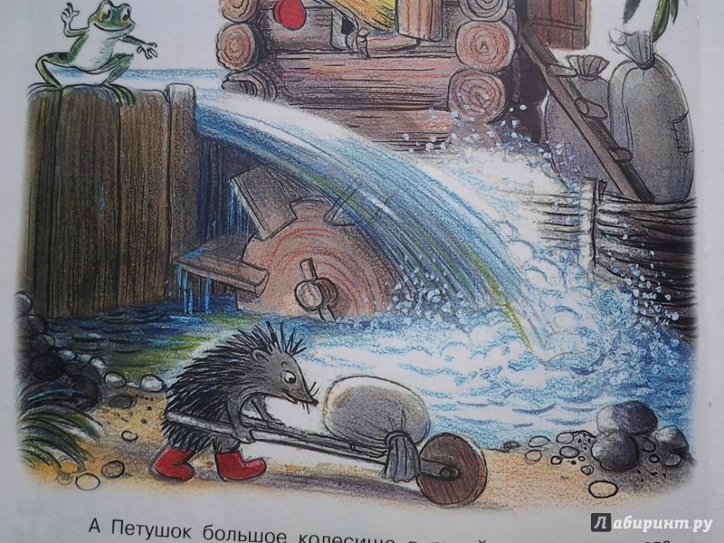 Иллюстрация 13 из 62 для Сказки и картинки - Владимир Сутеев | Лабиринт - книги. Источник: Olga