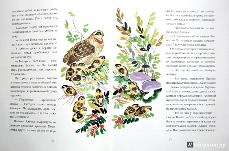 Иллюстрация 24 из 46 для Аленкин выводок - Виктор Балашов | Лабиринт - книги. Источник: Mila