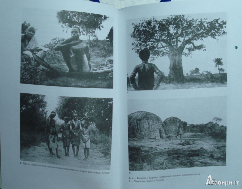 Иллюстрация 7 из 19 для Мифы народов Африки - Элис Вернер | Лабиринт - книги. Источник: helgmar