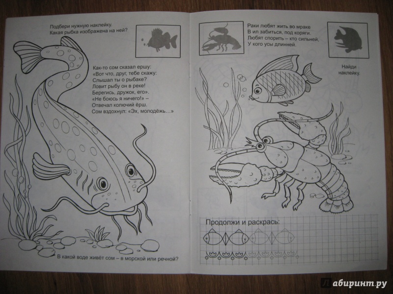 Иллюстрация 6 из 6 для Мир под водой (раскраска с наклейками) | Лабиринт - книги. Источник: Елелена
