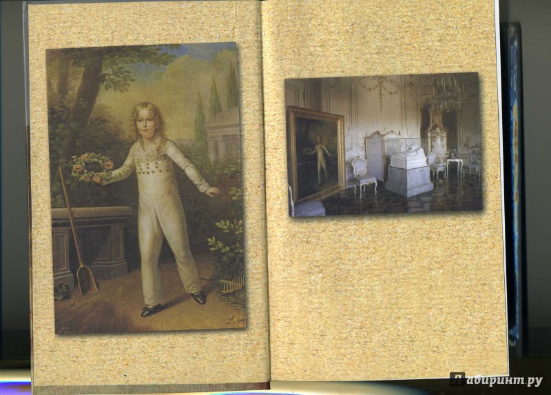 Иллюстрация 11 из 22 для Сын Наполеона: биография - Кастело, Ростан | Лабиринт - книги. Источник: Колхозstyle