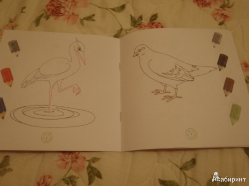 Иллюстрация 3 из 3 для Раскраски с подсказкой "Птички". Книжка-раскраска - М. Коршунова | Лабиринт - книги. Источник: ksyundel