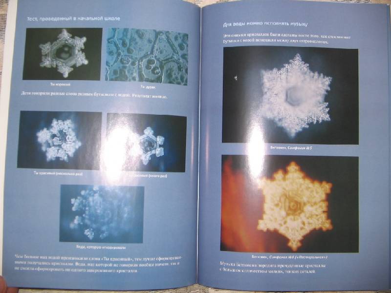 Иллюстрация 6 из 8 для Послания воды: Тайные коды кристаллов льда - Масару Эмото | Лабиринт - книги. Источник: Читательница