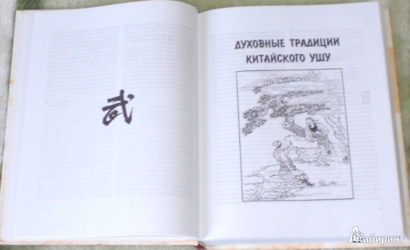 Иллюстрация 2 из 5 для Тайный код китайского кунфу - Алексей Маслов | Лабиринт - книги. Источник: Anton_SPb