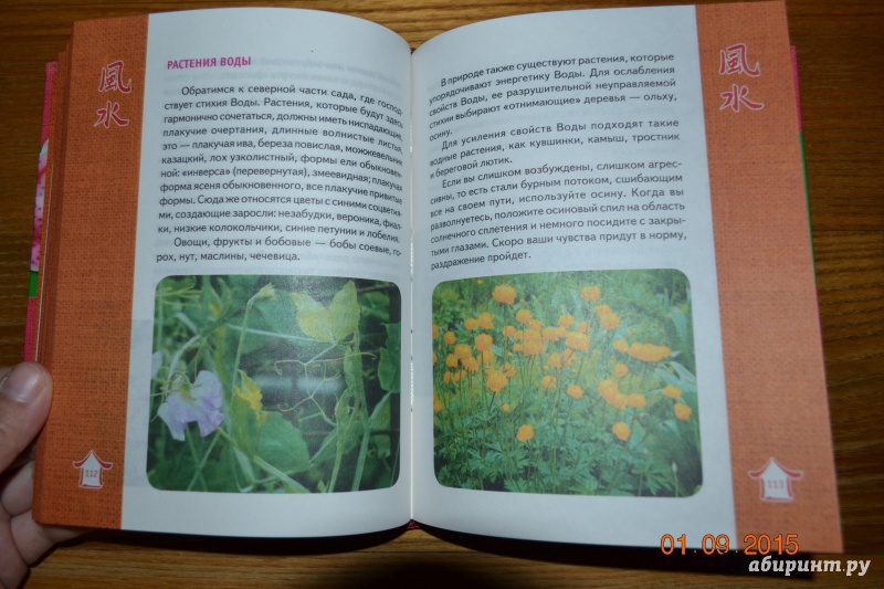Иллюстрация 14 из 35 для Фэн Шуй. Цветущий сад | Лабиринт - книги. Источник: Белоус Марина