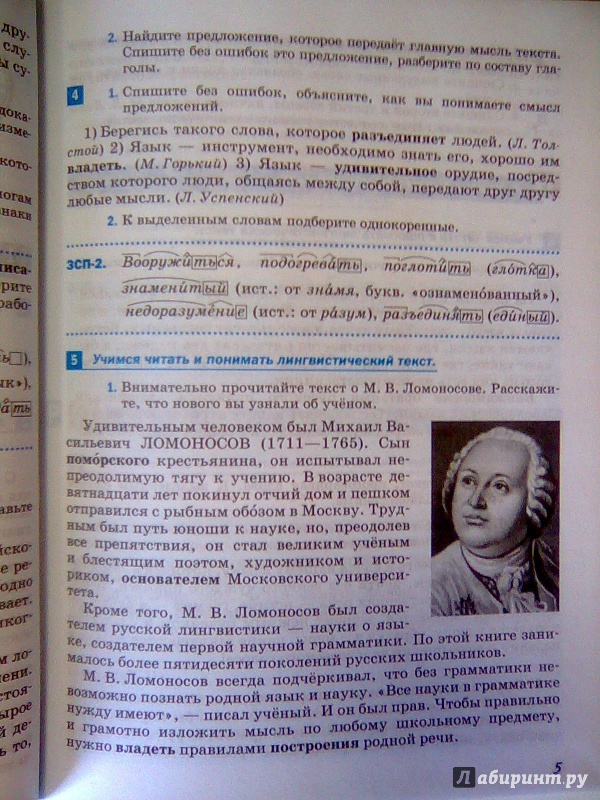 Иллюстрация 8 из 36 для Русский язык. 5 класс. Учебник. ФГОС - Разумовская, Львова, Капинос | Лабиринт - книги. Источник: Салус