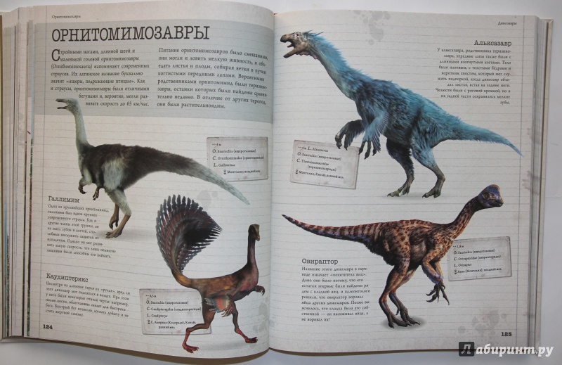 Иллюстрация 15 из 21 для Динозавры и другие доисторические животные. Детская энциклопедия | Лабиринт - книги. Источник: SvetlanaS