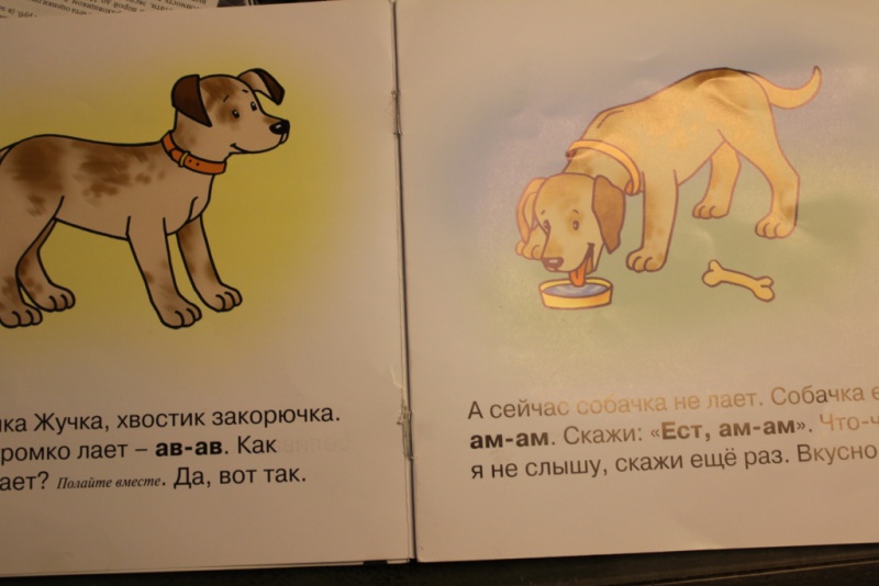 Иллюстрация 25 из 27 для Птичка-мах-мах. Для детей от 1 года - Фролова, Савушкин | Лабиринт - книги. Источник: DoubleKit