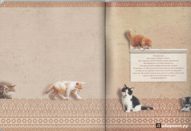 Иллюстрация 6 из 6 для Тетрадь Кошки-мышки, А5+, 48 листов, клетка, в ассортименте | Лабиринт - канцтовы. Источник: Lustralis