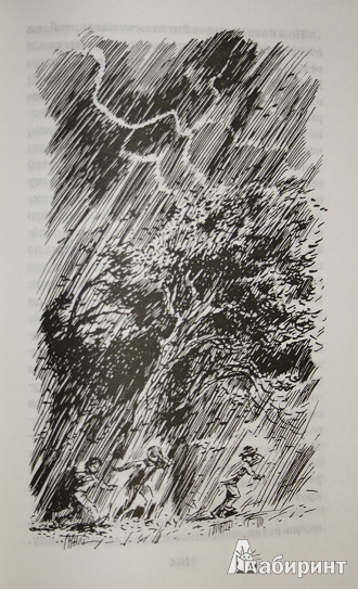 Иллюстрация 8 из 22 для Приключения Тома Сойера: повесть - Марк Твен | Лабиринт - книги. Источник: КНИЖНОЕ ДЕТСТВО