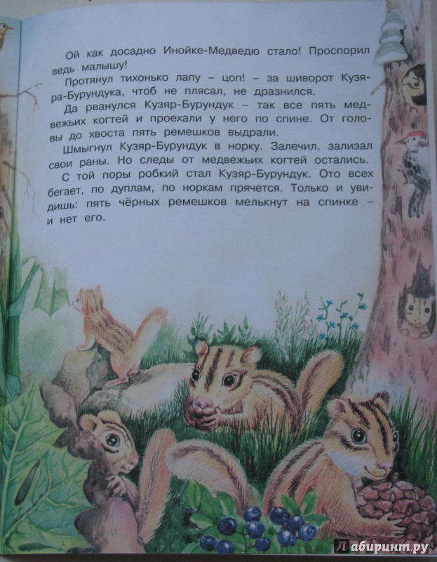 Иллюстрация 24 из 24 для Глаза и уши. Кузяр-Бурундук и Инойка-Медведь - Виталий Бианки | Лабиринт - книги. Источник: Штерн  Яна