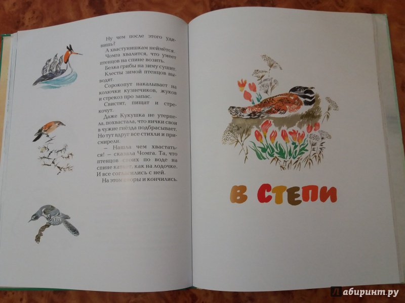 Иллюстрация 50 из 52 для С севера на юг - Николай Сладков | Лабиринт - книги. Источник: Bayirta