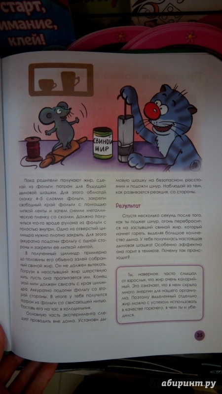 Иллюстрация 21 из 36 для Веселые научные опыты для детей и взрослых. Опыты на отдыхе - Виталий Зарапин | Лабиринт - книги. Источник: Мила