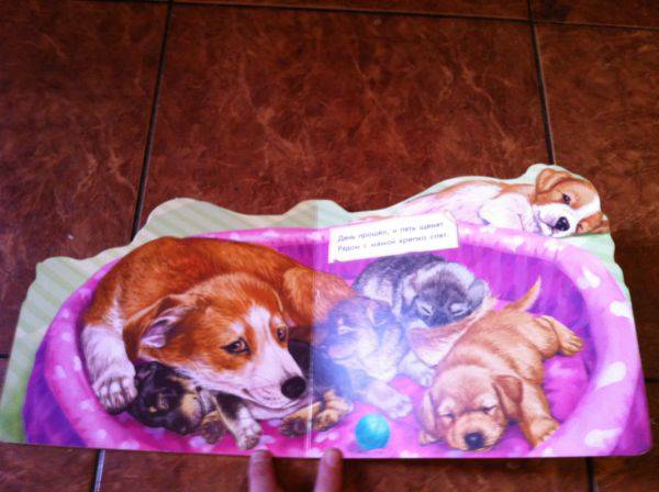 Иллюстрация 7 из 7 для Собака и щенята - Ринат Курмашев | Лабиринт - книги. Источник: Котельникова  Светлана