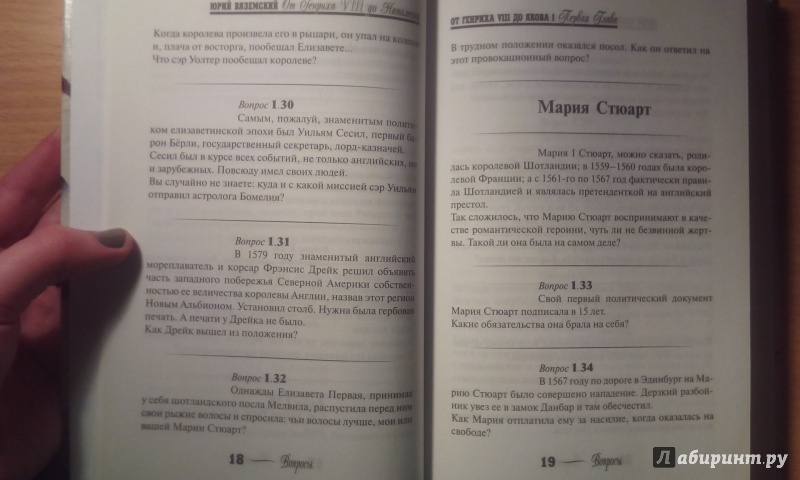 Иллюстрация 15 из 22 для От Генриха VIII до Наполеона. История Европы и Америки в вопросах и ответах - Юрий Вяземский | Лабиринт - книги. Источник: Александра Джейлани