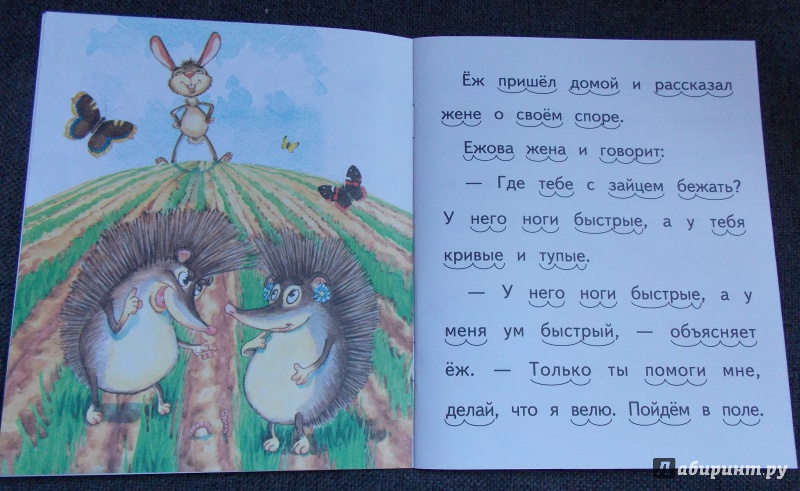 Иллюстрация 24 из 31 для Ёж и заяц - Лев Толстой | Лабиринт - книги. Источник: Sweet mama