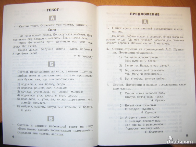 Иллюстрация 4 из 32 для Русский язык. 3 класс. Разноуровневые задания. ФГОС | Лабиринт - книги. Источник: RoMamka