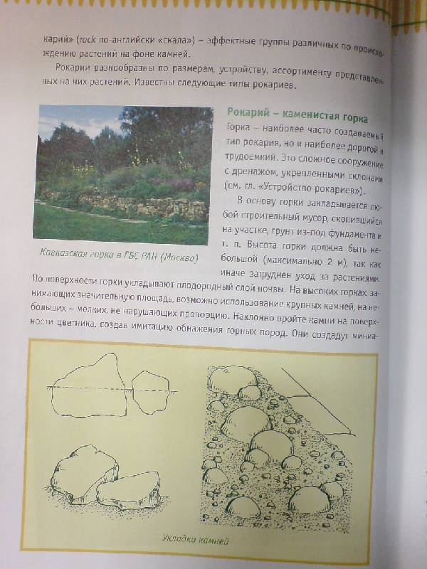 Иллюстрация 1 из 6 для Альпинарии. Устройство, уход, растительность - Римма Карписонова | Лабиринт - книги. Источник: Настёна