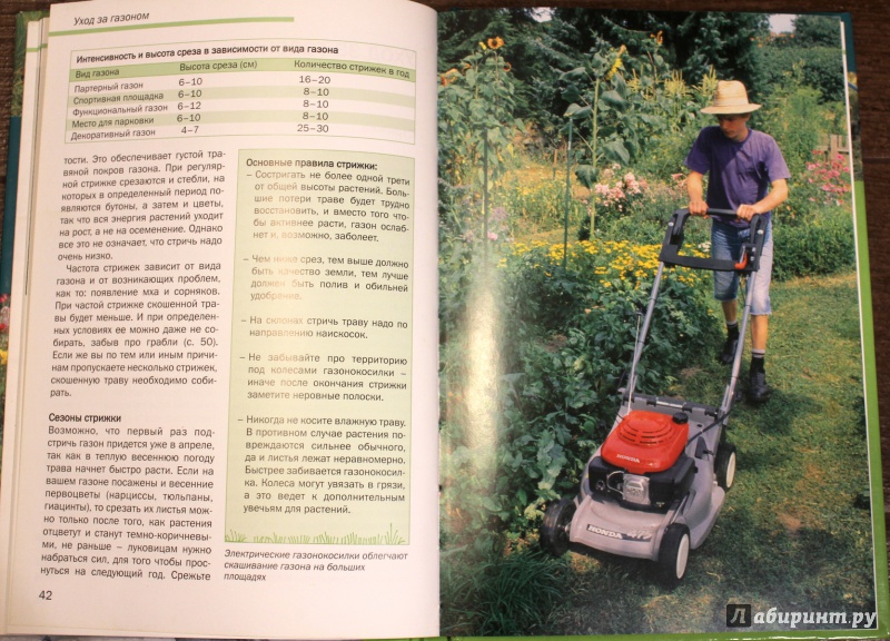 Иллюстрация 14 из 37 для Идеальный газон в вашем саду: Подготовка. Посев. Уход - Криста Лунг | Лабиринт - книги. Источник: fionna_cake