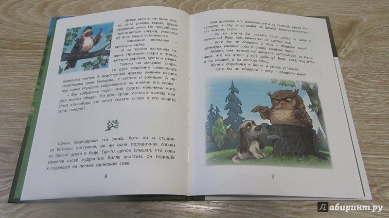 Иллюстрация 9 из 32 для Как Витя с лесом поссорился - Надежда Надеждина | Лабиринт - книги. Источник: дюдюка барбидокская
