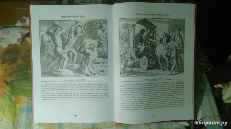 Иллюстрация 29 из 38 для Библия в иллюстрациях - Карольсфельд Юлиус Шнорр фон | Лабиринт - книги. Источник: inferno