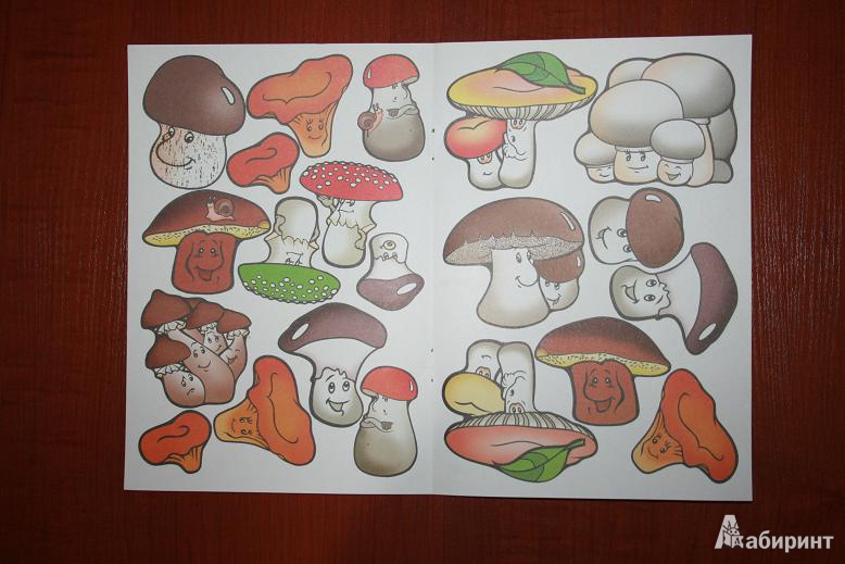 Иллюстрация 15 из 22 для Собери грибы | Лабиринт - игрушки. Источник: Рудис  Александра