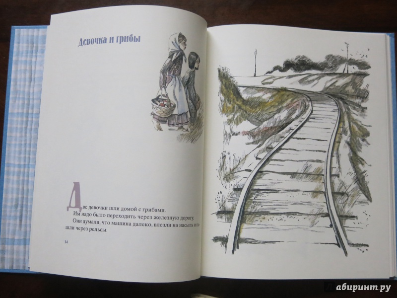 Иллюстрация 68 из 89 для Косточка - Лев Толстой | Лабиринт - книги. Источник: anschaffen