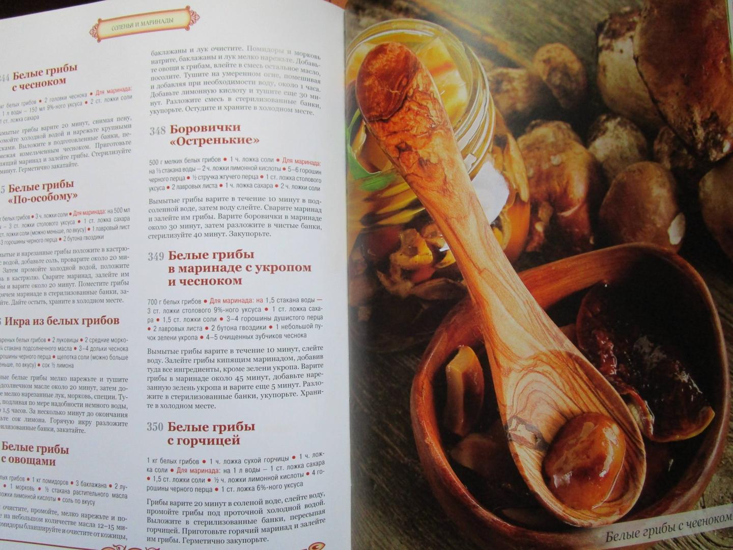 Иллюстрация 10 из 18 для 365 рецептов. Блюда и заготовки из грибов - С. Иванова | Лабиринт - книги. Источник: читатель