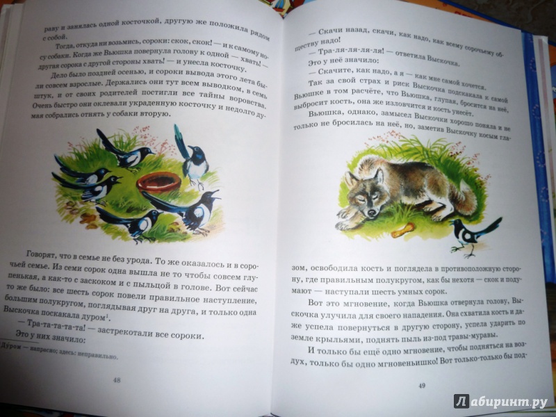 Иллюстрация 49 из 78 для Охота за бабочкой - Михаил Пришвин | Лабиринт - книги. Источник: настя тимарг