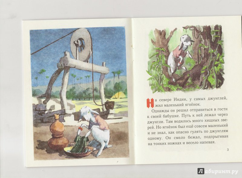 Иллюстрация 36 из 42 для Умный ягненок | Лабиринт - книги. Источник: Ольга