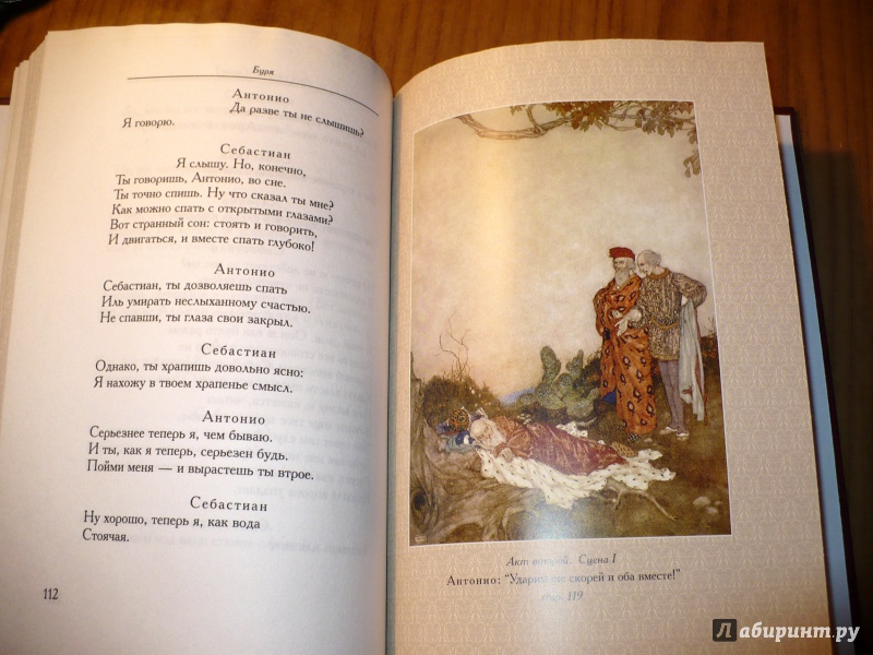 Иллюстрация 15 из 26 для Буря - Уильям Шекспир | Лабиринт - книги. Источник: Голиков  Сергей Юрьевич