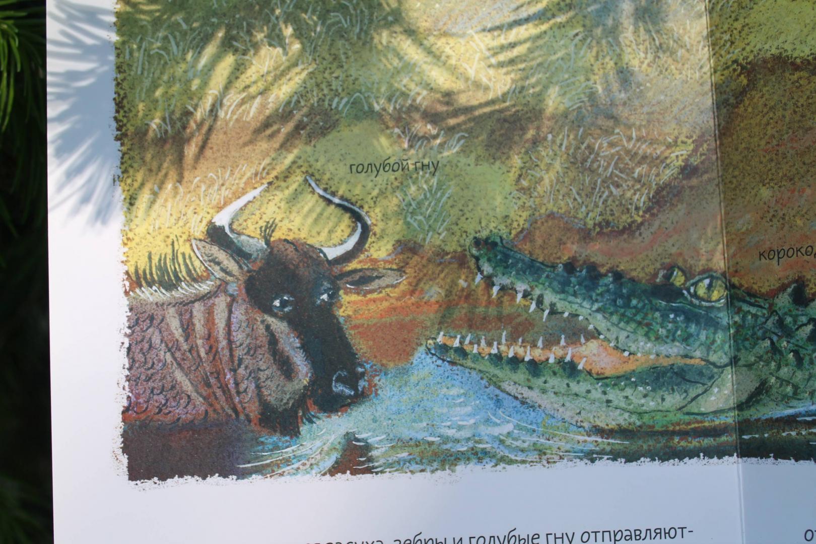 Иллюстрация 92 из 93 для Африканская саванна - Анна Веркина | Лабиринт - книги. Источник: Зуева  Анастасия Сергеевна